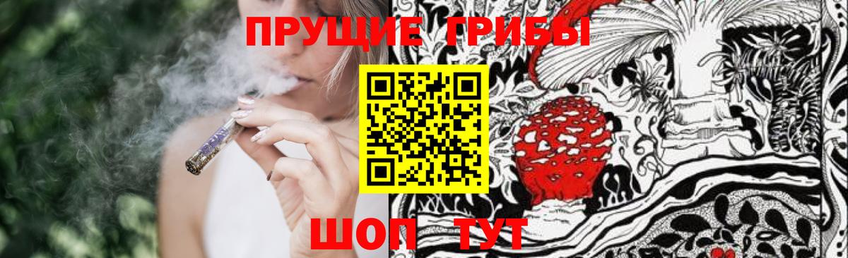 Карпинск  Галлюциногенные грибы Cubensis  Вход с VPN 