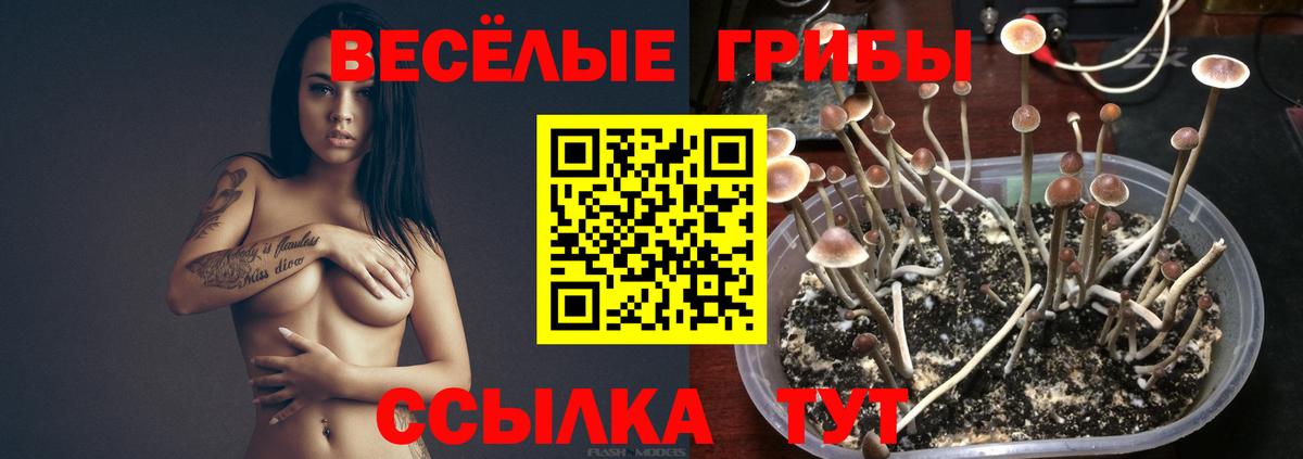 Галлюциногенные грибы мицелий Карпинск